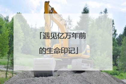 遇见亿万年前的生命印记