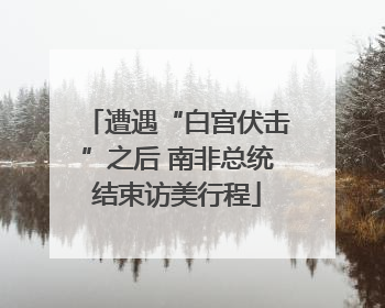遭遇“白宫伏击”之后 南非总统结束访美行程