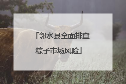 邻水县全面排查粽子市场风险