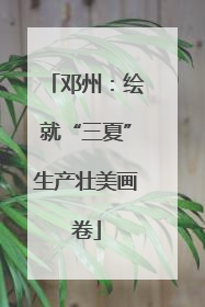 邓州：绘就“三夏”生产壮美画卷