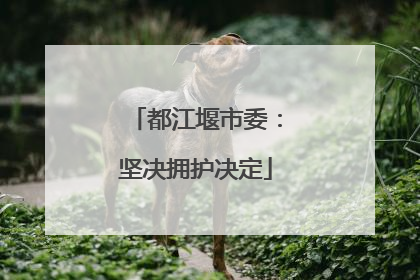 都江堰市委：坚决拥护决定