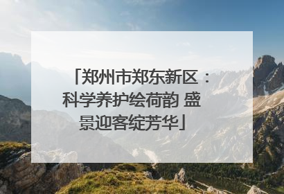 郑州市郑东新区：科学养护绘荷韵 盛景迎客绽芳华
