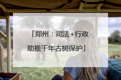 郑州：司法+行政助推千年古树保护