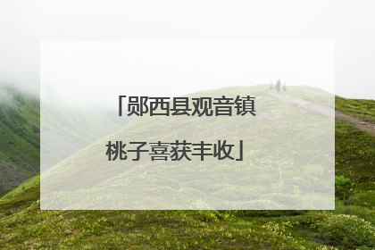 郧西县观音镇桃子喜获丰收