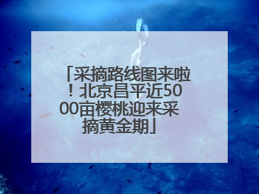 采摘路线图来啦！北京昌平近5000亩樱桃迎来采摘黄金期