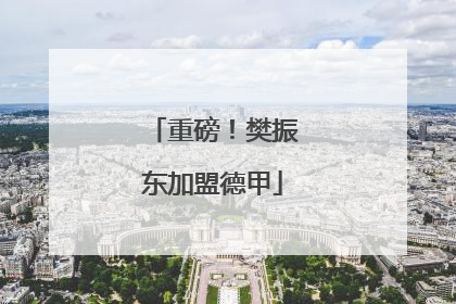 重磅！樊振东加盟德甲