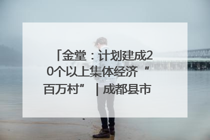 金堂：计划建成20个以上集体经济“百万村”｜成都县市新城高质量发展