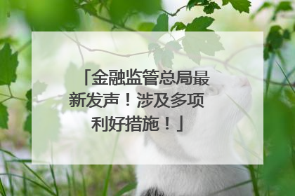 金融监管总局最新发声！涉及多项利好措施！