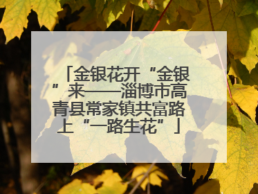 金银花开“金银”来——淄博市高青县常家镇共富路上“一路生花”