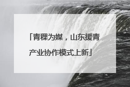 青稞为媒，山东援青产业协作模式上新