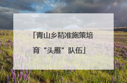 青山乡精准施策培育“头雁”队伍