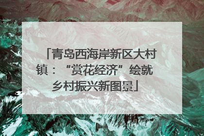 青岛西海岸新区大村镇：“赏花经济”绘就乡村振兴新图景