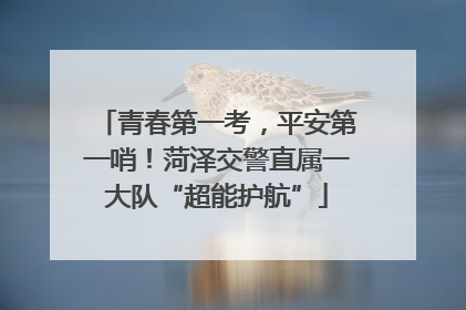 青春第一考，平安第一哨！菏泽交警直属一大队“超能护航”