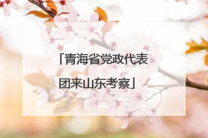 青海省党政代表团来山东考察