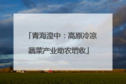 青海湟中：高原冷凉蔬菜产业助农增收