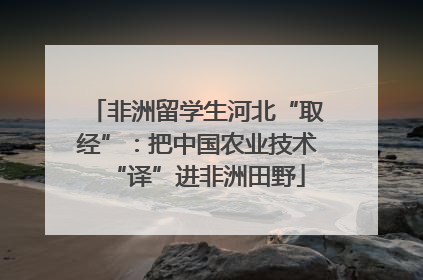 非洲留学生河北“取经”：把中国农业技术“译”进非洲田野