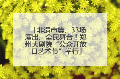 非遗市集、33场演出、全民舞台！郑州大剧院“公众开放日艺术节”举行