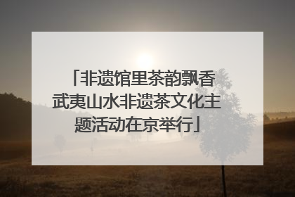 非遗馆里茶韵飘香 武夷山水非遗茶文化主题活动在京举行