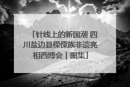 针线上的新国潮 四川盐边县傈僳族非遗亮相西博会｜图集