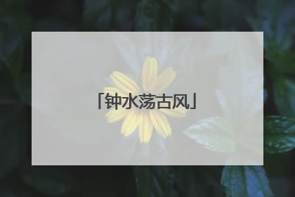 钟水荡古风