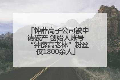 钟薛高子公司被申请破产 创始人账号“钟薛高老林”粉丝仅1800余人