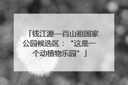 钱江源—百山祖国家公园候选区：“这是一个动植物乐园”