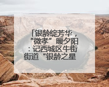 银龄绽芳华，“微孝”暖夕阳：记西城区牛街街道“银龄之星”刘茹月