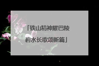 铁山精神耀巴陵 碧水长歌颂新篇