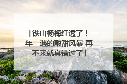 铁山杨梅红透了！一年一遇的酸甜风暴 再不来就真错过了
