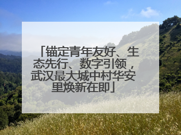 锚定青年友好、生态先行、数字引领，武汉最大城中村华安里焕新在即