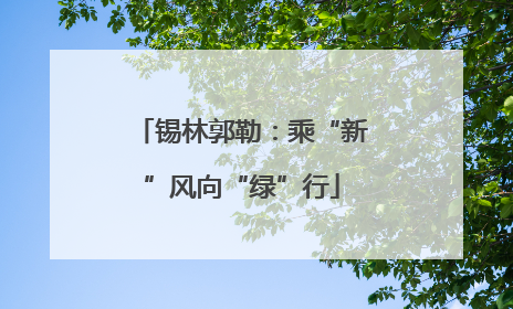 锡林郭勒：乘“新”风向“绿”行