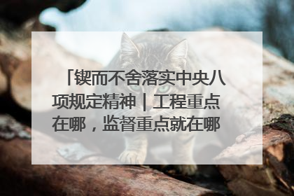 锲而不舍落实中央八项规定精神｜工程重点在哪，监督重点就在哪——广西深化政治监督护航平陆运河建设