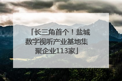 长三角首个！盐城数字视听产业基地集聚企业113家