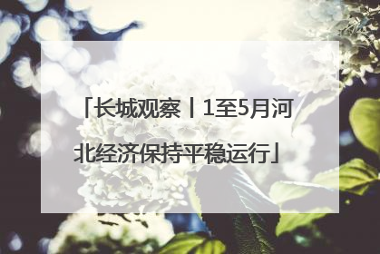 长城观察丨1至5月河北经济保持平稳运行