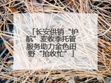 长安供销“护航”麦收季托管服务助力金色田野“抢收忙”