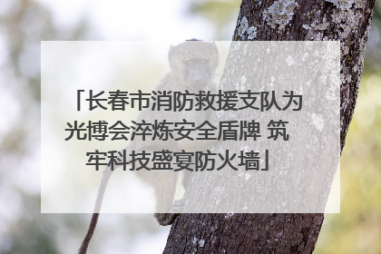 长春市消防救援支队为光博会淬炼安全盾牌 筑牢科技盛宴防火墙