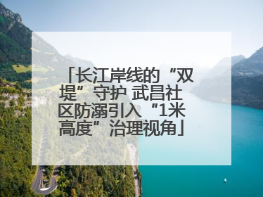 长江岸线的“双堤”守护 武昌社区防溺引入“1米高度”治理视角