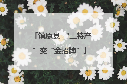 镇原县 “土特产”变“金招牌”
