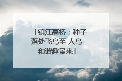 镇江高桥：种子落处飞鸟至 人鸟和谐趣景来