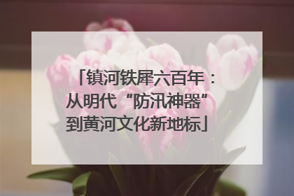镇河铁犀六百年：从明代“防汛神器”到黄河文化新地标