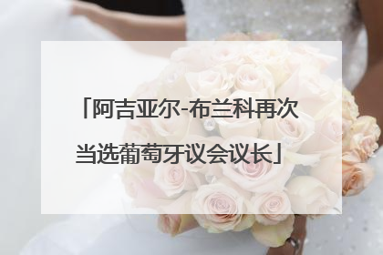 阿吉亚尔-布兰科再次当选葡萄牙议会议长