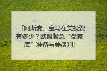 阿斯麦、宝马在美投资有多少？欧盟紧急“盘家底”准备与美谈判