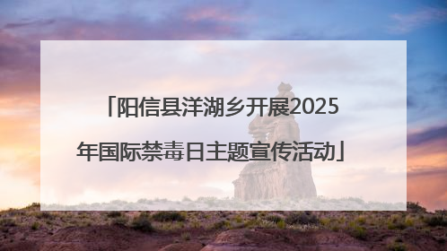 阳信县洋湖乡开展2025年国际禁毒日主题宣传活动