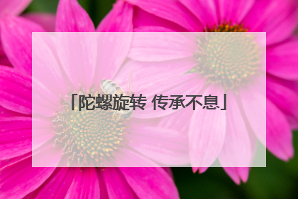 陀螺旋转 传承不息