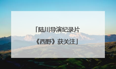 陆川导演纪录片《西野》获关注