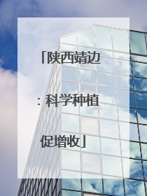 陕西靖边：科学种植促增收