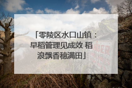 零陵区水口山镇：早稻管理见成效 稻浪飘香穗满田