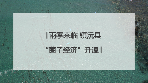 雨季来临 镇沅县“菌子经济”升温