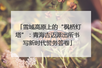 雪域高原上的“枫桥灯塔”：青海吉迈派出所书写新时代警务答卷