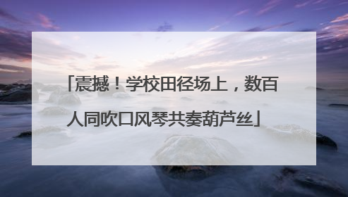 震撼！学校田径场上，数百人同吹口风琴共奏葫芦丝